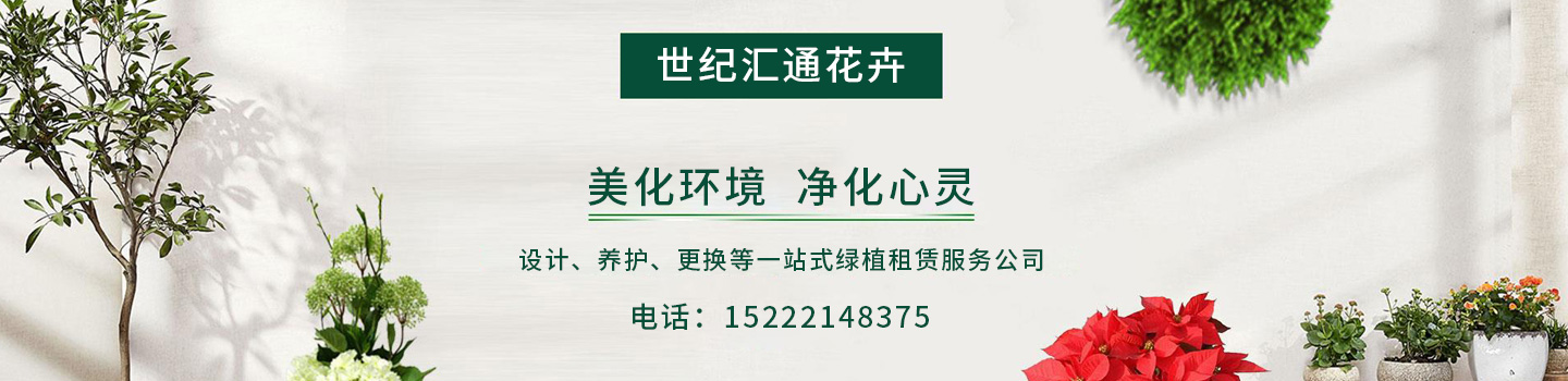 列表頁大圖