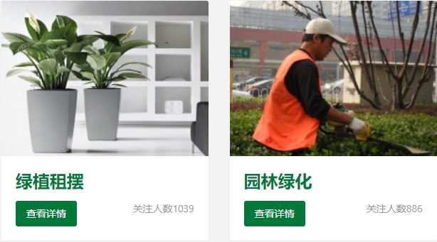 鮮花綠植租賃
